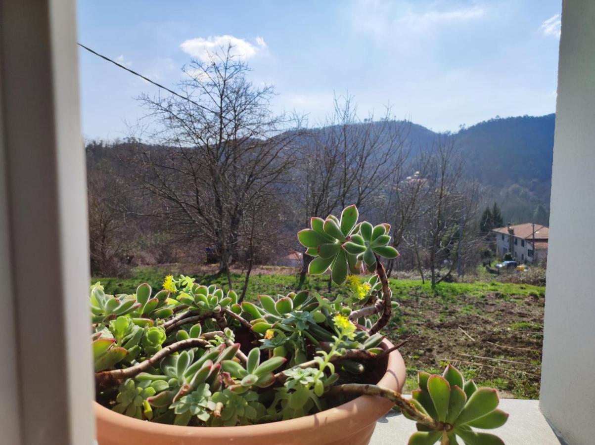 베르나차 Casa Dei Giuggioli 빌라 외부 사진